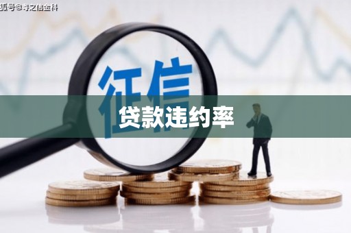 于田贷款违约率