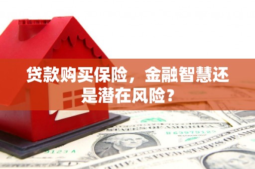 于田贷款购买保险，金融智慧还是潜在风险？