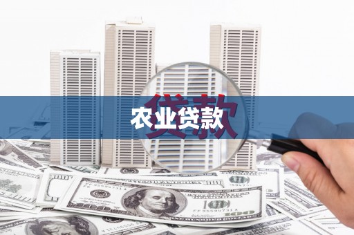 于田农业贷款