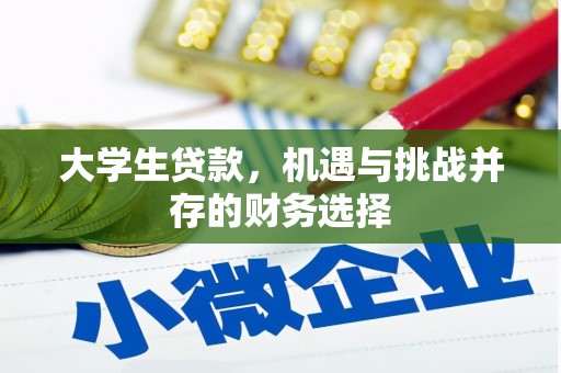 于田大学生贷款，机遇与挑战并存的财务选择