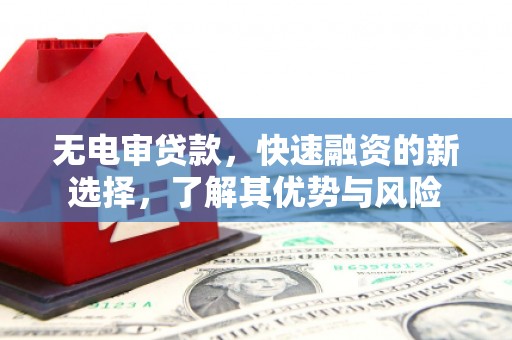 于田无电审贷款，快速融资的新选择，了解其优势与风险