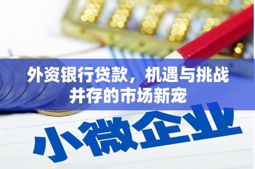 于田外资银行贷款，机遇与挑战并存的市场新宠