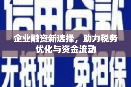 于田企业融资新选择，助力税务优化与资金流动