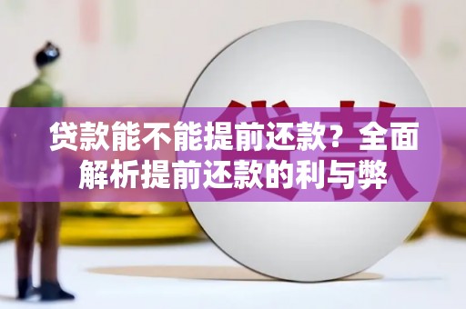 于田贷款能不能提前还款？全面解析提前还款的利与弊