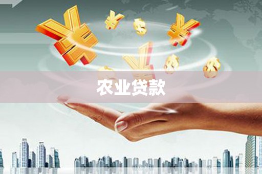 于田农业贷款