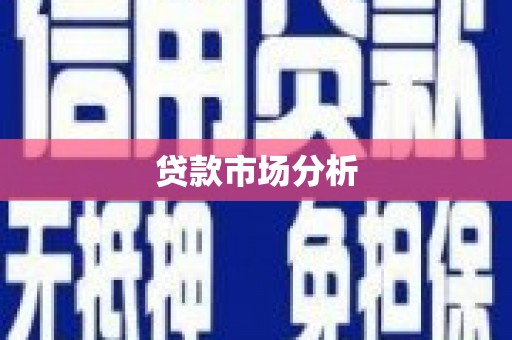 于田贷款市场分析
