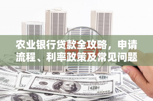 于田农业银行贷款全攻略，申请流程、利率政策及常见问题解析