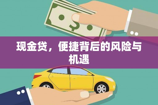 于田现金贷，便捷背后的风险与机遇