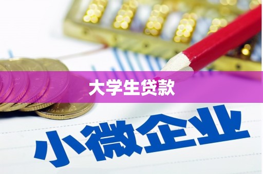 于田大学生贷款