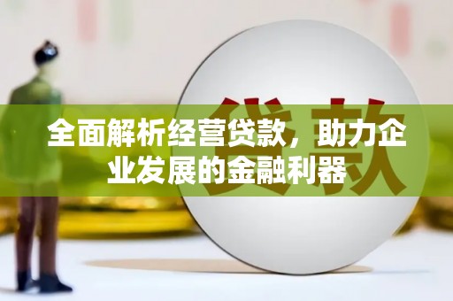 于田全面解析经营贷款，助力企业发展的金融利器