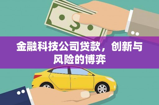 于田金融科技公司贷款，创新与风险的博弈