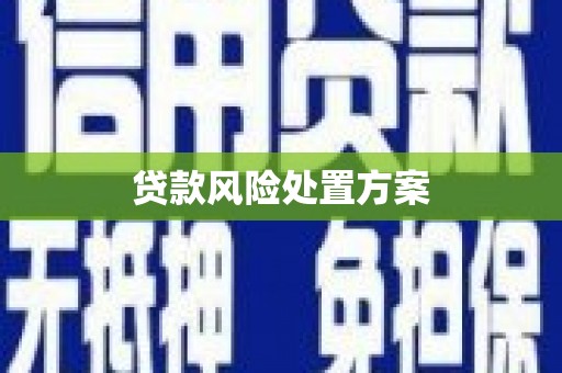 于田贷款风险处置方案