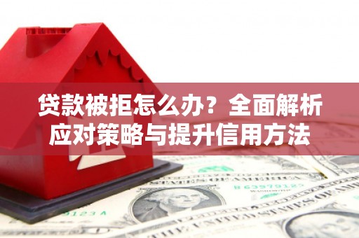于田贷款被拒怎么办？全面解析应对策略与提升信用方法