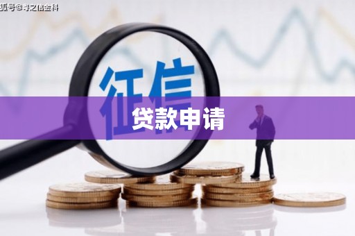 于田贷款申请