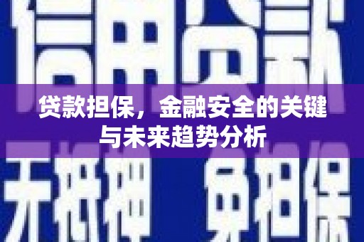 于田贷款担保，金融安全的关键与未来趋势分析