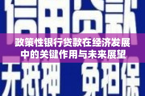 于田政策性银行贷款在经济发展中的关键作用与未来展望