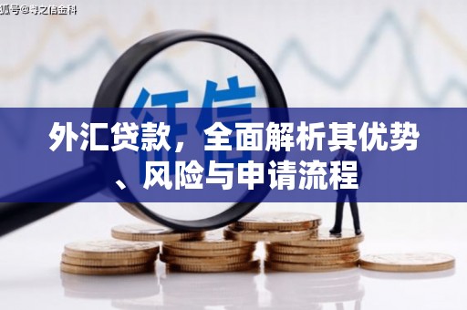于田外汇贷款，全面解析其优势、风险与申请流程