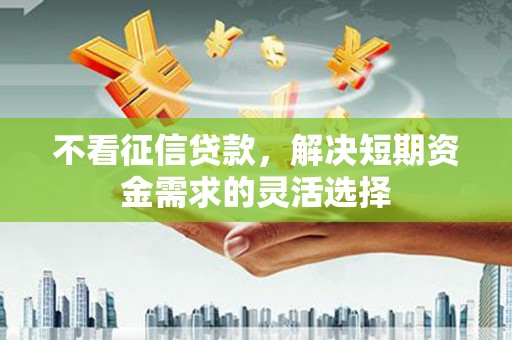 于田不看征信贷款，解决短期资金需求的灵活选择
