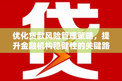 于田优化贷款风险管理策略，提升金融机构稳健性的关键路径