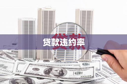于田贷款违约率