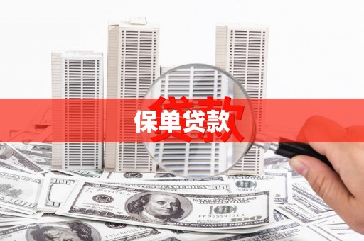 于田保单贷款