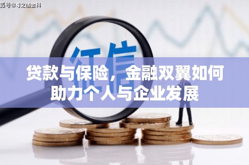 于田贷款与保险，金融双翼如何助力个人与企业发展