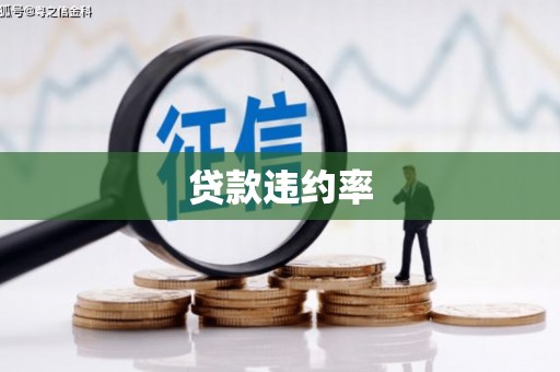 于田贷款违约率