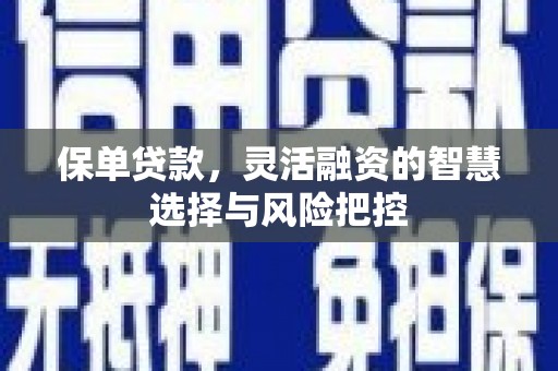 于田保单贷款，灵活融资的智慧选择与风险把控