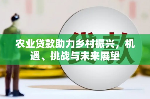 于田农业贷款助力乡村振兴，机遇、挑战与未来展望
