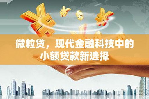 于田微粒贷，现代金融科技中的小额贷款新选择
