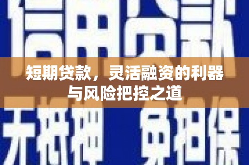 于田短期贷款，灵活融资的利器与风险把控之道