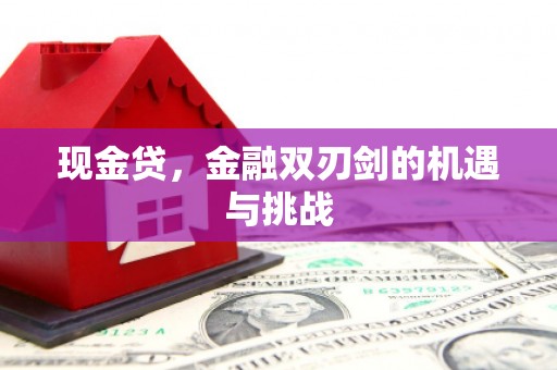 于田现金贷，金融双刃剑的机遇与挑战