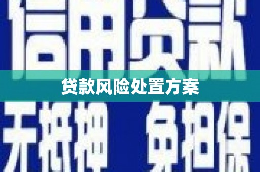 于田贷款风险处置方案
