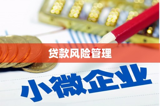 于田贷款风险管理