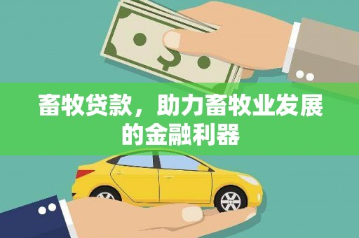 于田畜牧贷款，助力畜牧业发展的金融利器