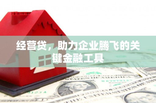 于田经营贷，助力企业腾飞的关键金融工具