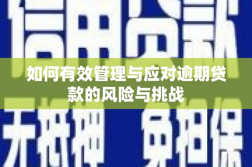 于田如何有效管理与应对逾期贷款的风险与挑战