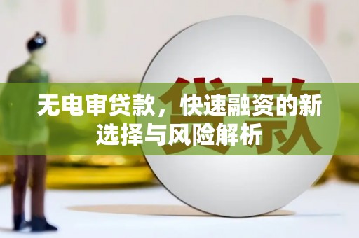 于田无电审贷款，快速融资的新选择与风险解析