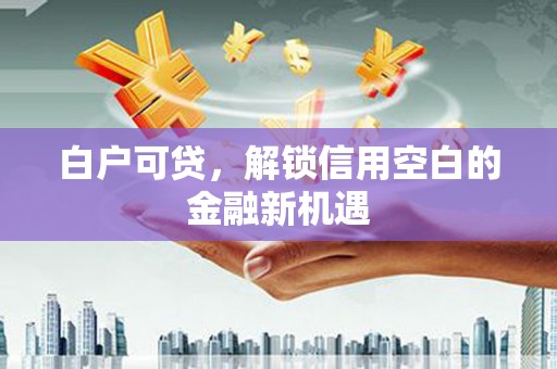 于田白户可贷，解锁信用空白的金融新机遇