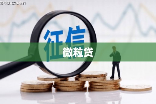于田微粒贷