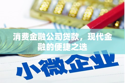于田消费金融公司贷款，现代金融的便捷之选