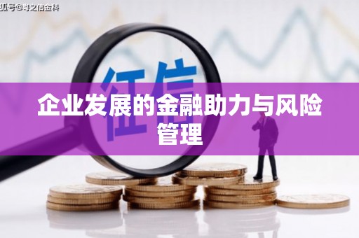于田企业发展的金融助力与风险管理