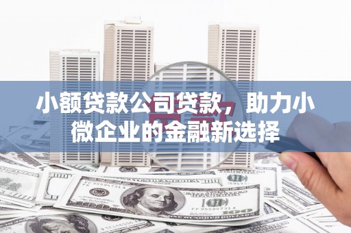 于田小额贷款公司贷款，助力小微企业的金融新选择