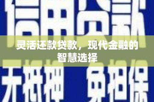 于田灵活还款贷款，现代金融的智慧选择