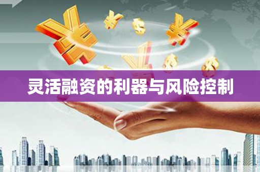 于田灵活融资的利器与风险控制