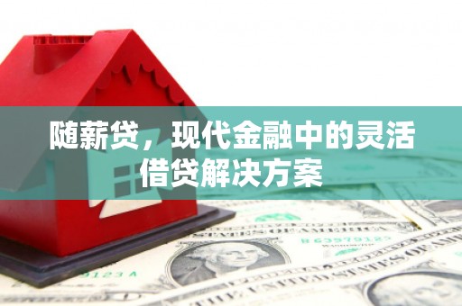 于田随薪贷，现代金融中的灵活借贷解决方案