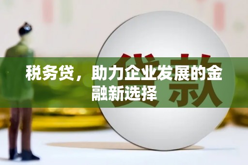 于田税务贷，助力企业发展的金融新选择