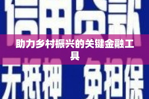 于田助力乡村振兴的关键金融工具