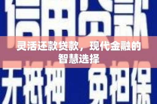 于田灵活还款贷款，现代金融的智慧选择
