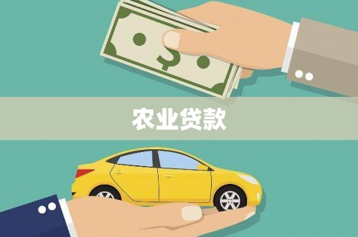 于田农业贷款